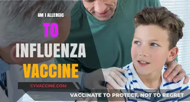 Influenza Vaccine Allergies: Symptoms, Risks, and What You Need to Know