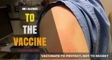 Vaccine Allergies: Understanding Symptoms, Risks, and Safe Alternatives