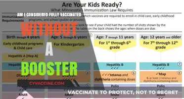 Booster Shots: Are You Fully Vaccinated Without Them?