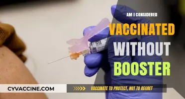 Vaccinated Without a Booster: Understanding Your COVID-19 Immunity Status