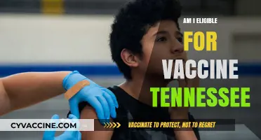 Tennessee Vaccine Eligibility: Who Can Get Vaccinated and How to Check