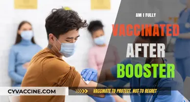 Fully Vaccinated After Booster: Understanding Your COVID-19 Immunity Status