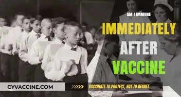 Vaccinated but Not Invincible: Understanding Immunity Post-Vaccination