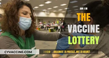 Am I in the Vaccine Lottery? Understanding COVID-19 Incentive Programs