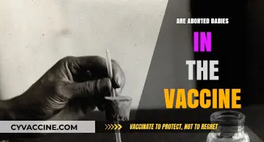 Debunking the Myth: Aborted Fetal Cells and Vaccines Explained