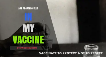 Aborted Fetal Cells in Vaccines: Separating Fact from Fiction