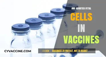 Debunking Myths: Are Aborted Fetal Cells Used in Vaccines?