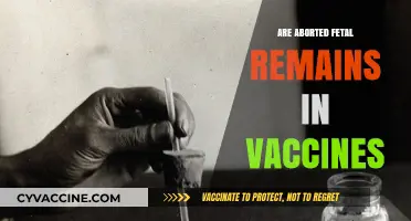 Debunking the Myth: Fetal Tissue in Vaccines Explained
