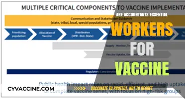 Accountants' Role in Vaccine Distribution: Essential Workers Behind the Scenes