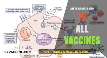 Are Adjuvants in Every Vaccine? Understanding Their Role and Use