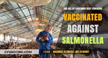 Eggland's Best: Salmonella-Free Chickens?