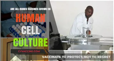 Rabies Vaccines: Human Cell Culture Growth Explained