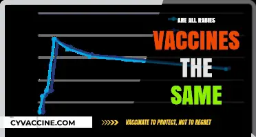 Are All Rabies Vaccines Identical? Understanding Differences and Effectiveness
