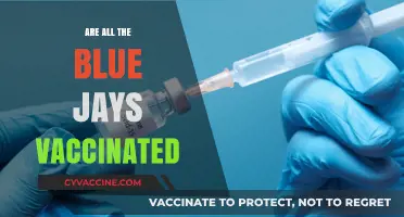 Are All Blue Jays Vaccinated? Unraveling the Truth Behind the Myth