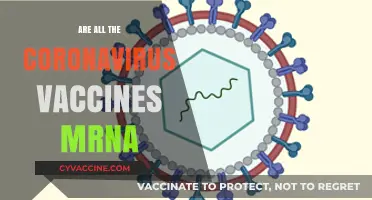 Are All COVID-19 Vaccines mRNA? Understanding Vaccine Technologies