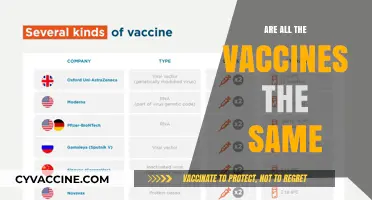 Are All Vaccines Identical? Understanding Differences in Types and Purposes