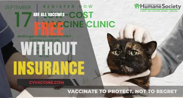 Are Vaccines Free Without Insurance? Exploring Costs and Accessibility