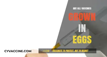 Are All Vaccines Egg-Based? Unraveling Common Myths and Facts