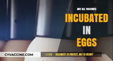 Do All Vaccines Use Egg Incubation? Unraveling the Truth
