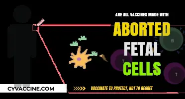 Vaccines and Abortion: The Fetal Cell Myth