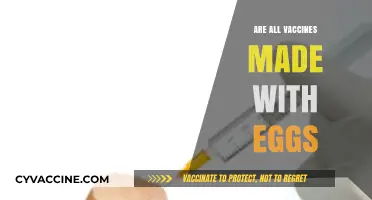 Do All Vaccines Contain Eggs? Unraveling the Truth Behind Ingredients