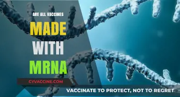 Are All Vaccines mRNA-Based? Debunking Common Myths and Facts
