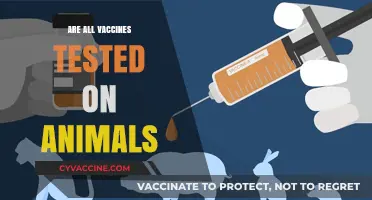 Are All Vaccines Tested on Animals? Uncovering the Truth
