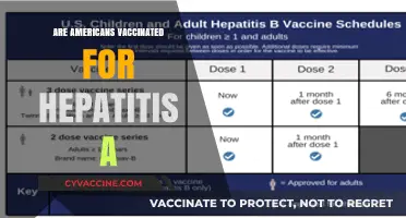Are Americans Vaccinated for Hepatitis A? What You Need to Know