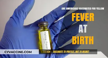 Vaccination Nation: Are Americans Immune to Yellow Fever?