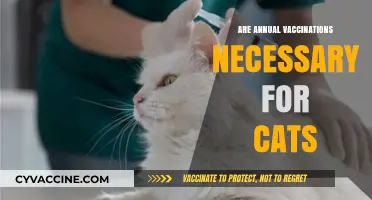 Are Annual Cat Vaccinations Essential for Feline Health?
