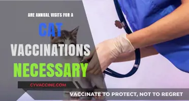 Cat Vaccinations: Annual Vet Visits, Necessary?