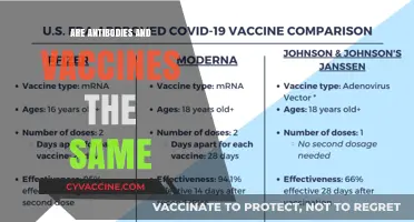 Antibodies vs. Vaccines: Understanding the Key Differences and Roles