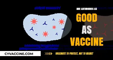 Antibodies vs. Vaccines: Which Offers Better Immunity and Protection?