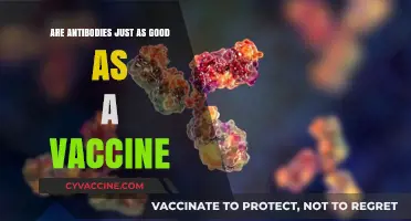 Antibodies vs. Vaccines: Which Offers Better Protection?