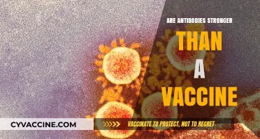Antibodies vs. Vaccines: Which Offers Stronger Immunity and Protection?