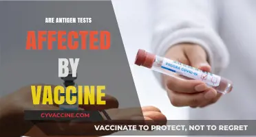 Do COVID-19 Vaccines Impact Antigen Test Accuracy? What to Know