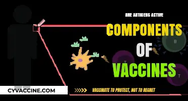 Are Antigens Active Components of Vaccines? Unraveling Their Role