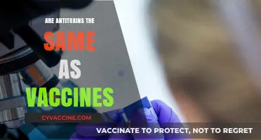 Antitoxins vs. Vaccines: Understanding Their Differences and Roles in Immunity