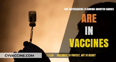 Antivaxxers Claim Aborted Fetuses in Vaccines: Truth or Myth?