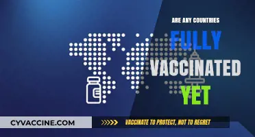 Global Vaccination Progress: Which Countries Have Achieved Full Coverage?