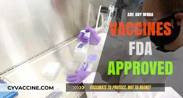Are mRNA Vaccines FDA Approved? Understanding Current Status and Safety
