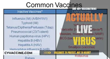 Are Vaccines Live Virus? Unraveling the Truth Behind Immunizations