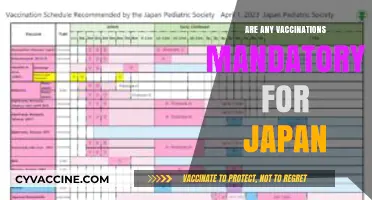 Japan's Vaccination Policies: Are Any Immunizations Compulsory for Visitors?