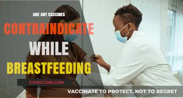 Breastfeeding and Vaccines: Which Shots Are Safe for Nursing Moms?
