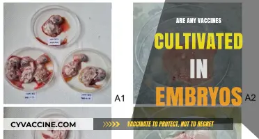 Vaccines and Embryos: Unraveling the Truth Behind Cultivation Methods