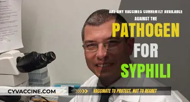 Vaccines Against Syphilis: What's Available Now?