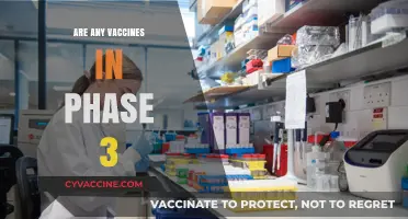 Latest Phase 3 Vaccine Trials: What’s in Development Now?