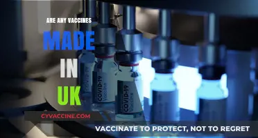 UK-Made Vaccines: Exploring Domestic Production and Global Contributions