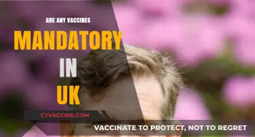Are Vaccines Mandatory in the UK? Exploring Current Policies and Laws