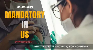 Are Vaccines Mandatory in the US? Exploring Legal Requirements and Exemptions